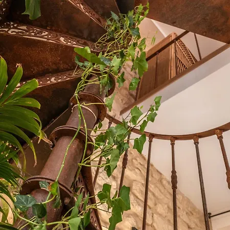 Duplex D'exception Et Atypique A Montmartre *